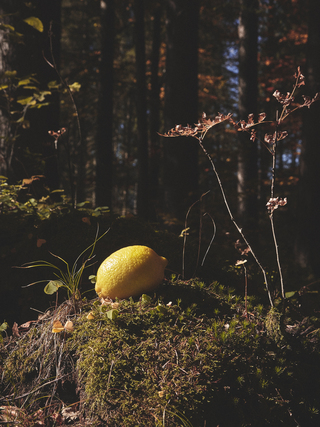 INTO THE WOODS
Photographer: Maria Dominika
Styling: Sharina Lichtl